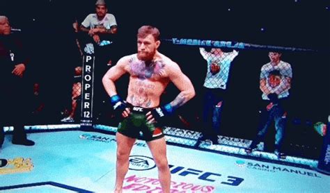 conor mcgregor gif|Conor McGregor GIFs on GIPHY